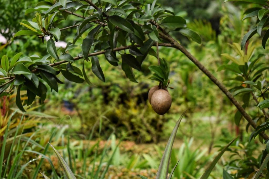 Giardino di Intan sidemen villa