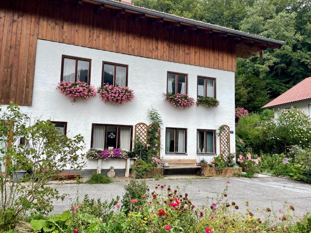 Zahrada ubytování Meine Zeit Ferienwohnung
