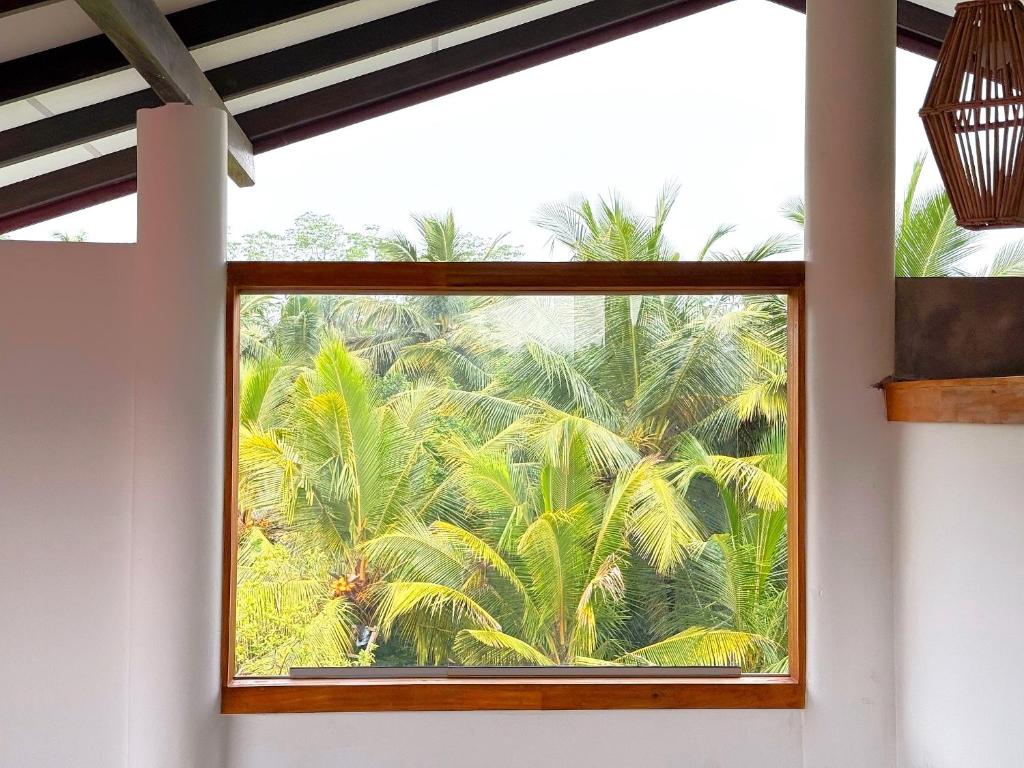 Zahrada ubytování Sri Lanka Surf Villa Domus Graziella