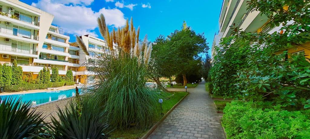Bazén v ubytování Apartament Amelia nebo v jeho okolí