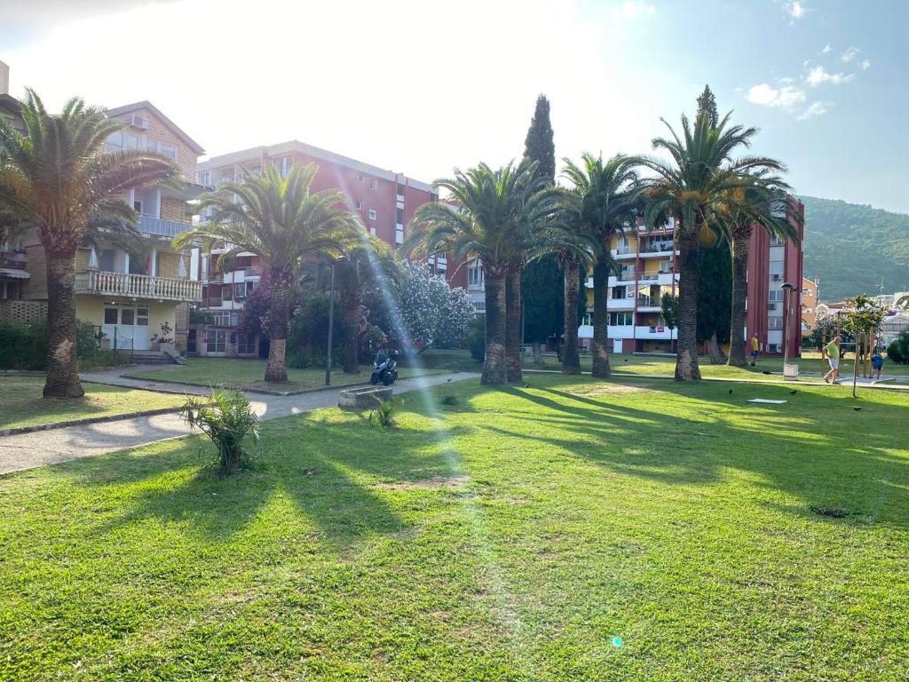 Paisatge natural a prop de l'apartament