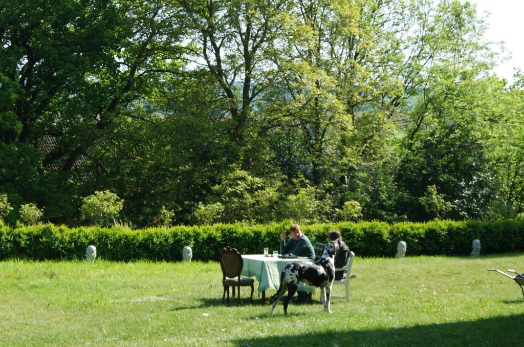 Zahrada ubytování Chateau Neufays