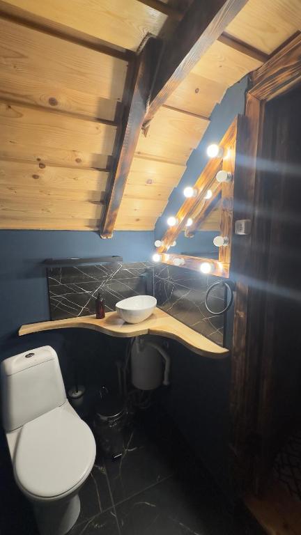 Fotografie z fotogalerie ubytování VIP-Domyk v destinaci Rachov