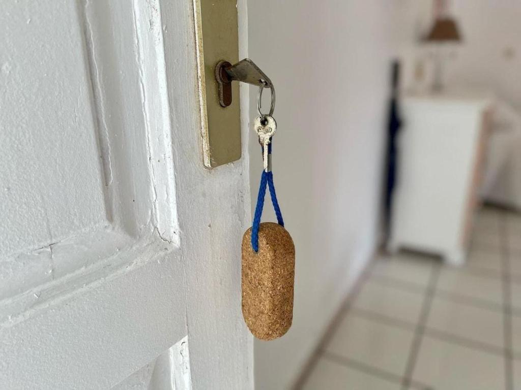 a door opener with a key on a door at Appartements CHEZ COCO in Terre-de-Haut