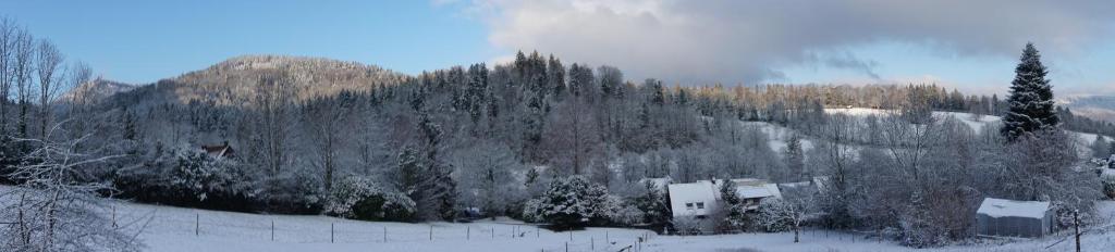 Ferienhaus am Gunzenbach v zimě