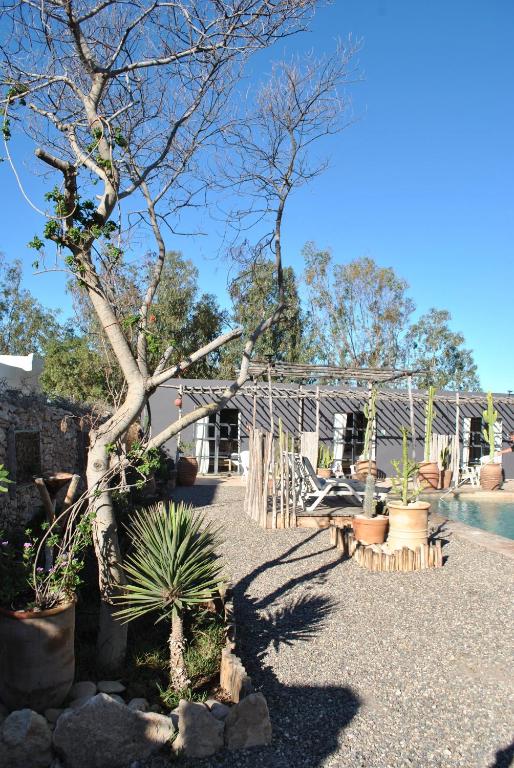 Fotografie z fotogalerie ubytování Maison Sidi et Lalla v destinaci Essaouira