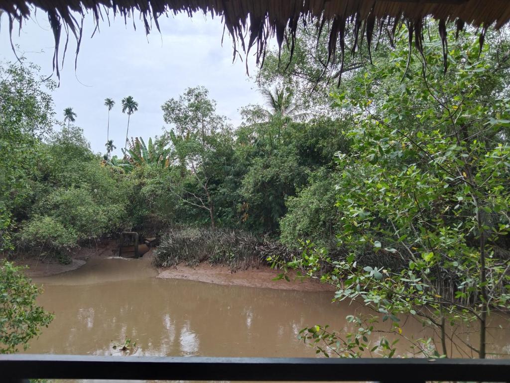 Quoc Phuong Riverside Homestay - Deluxe Quadruple Room