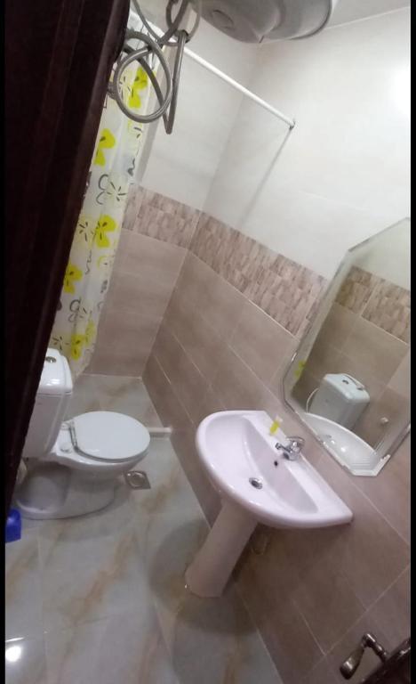 ein Badezimmer mit Waschbecken, Toilette und Spiegel in der Unterkunft Ammancitadlee in Amman