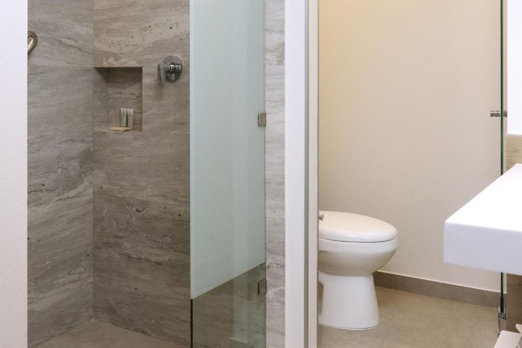 City Express Plus by Marriott Monterrey Centro, Monterrey (precios ...