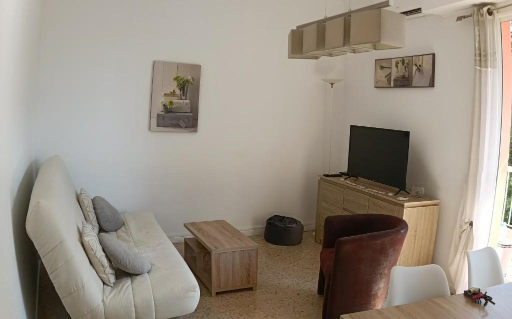 een woonkamer met een witte bank en een televisie bij T2 calme centre ville in Corte