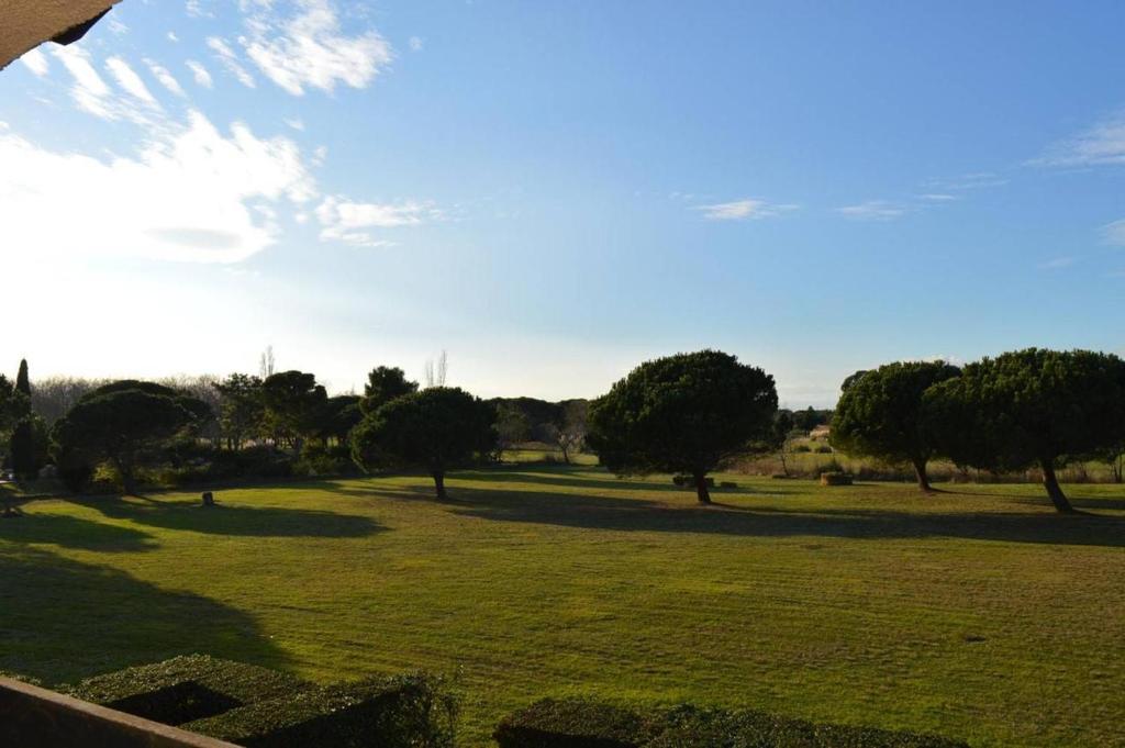 un champ d'herbe planté d'arbres au loin dans l'établissement Appartement 2 pièces 4 couchages SAINT CYPRIEN PLAGE SC320-068, à Saint Cyprien Plage