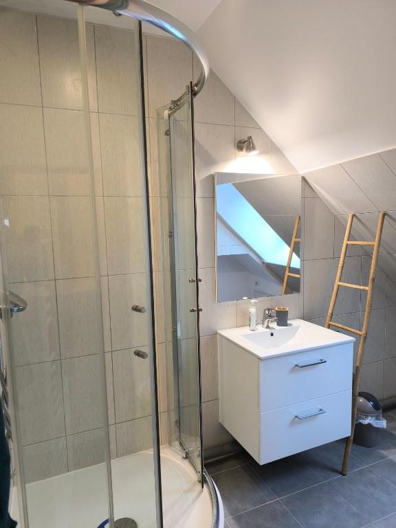 Duplex moderne à 10 minutes de Colmar – photo 9