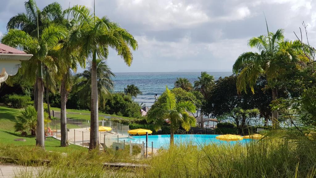 Bazén v ubytování Studio Bilimbi Guadeloupe village vacances à Sainte-Anne proche de Saint-François nebo v jeho okolí