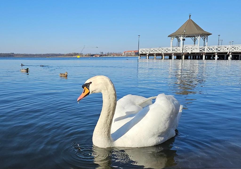 Platinum Ostróda - 14