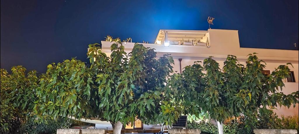 Silvia Casa Vacanze - foto 6