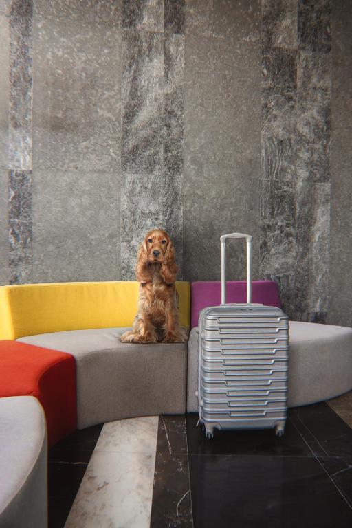 Izzzi Life Mint - Resim 12