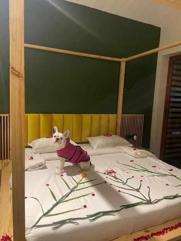 Postel nebo postele na pokoji v ubytování Rawai Luxury Tents Pushkar