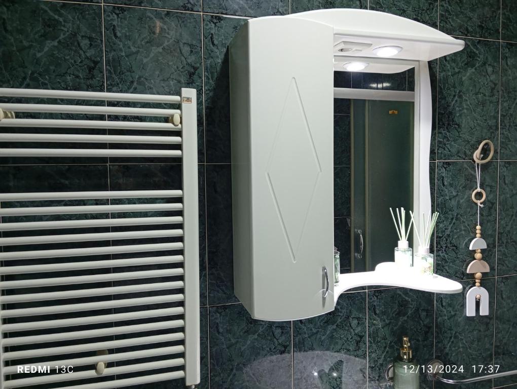 Koupelna v ubytování Apartman Vuk