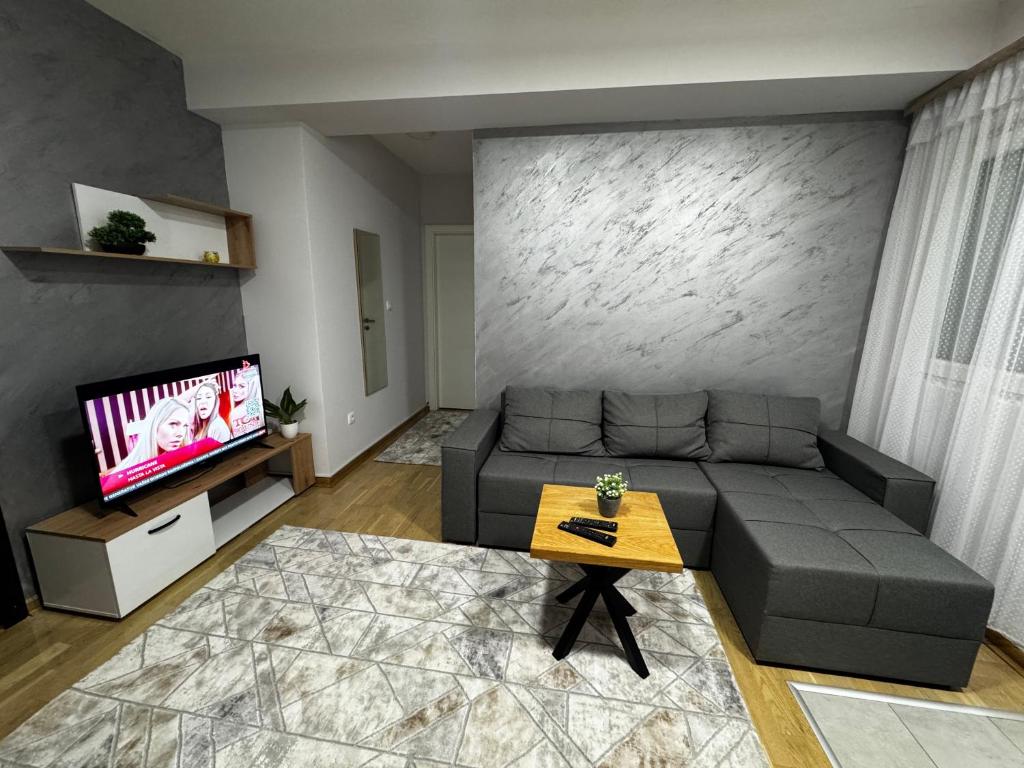 un soggiorno con un divano e una TV di Apartment Amistad Novi Sad a Novi Sad