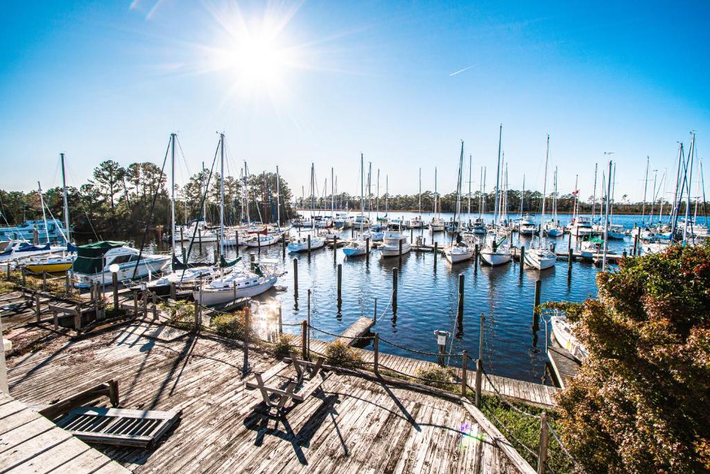 a bunch of boats are docked in a marina at Waterwood Townhouses in New Bern