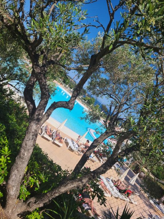 Una vista de la piscina a través de los árboles. en Rev'Azur Saint Raphaël, en Saint-Raphaël