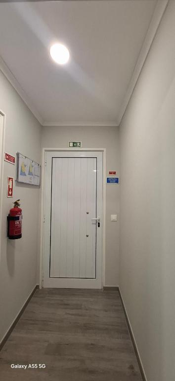 Pineapple Studio - 15