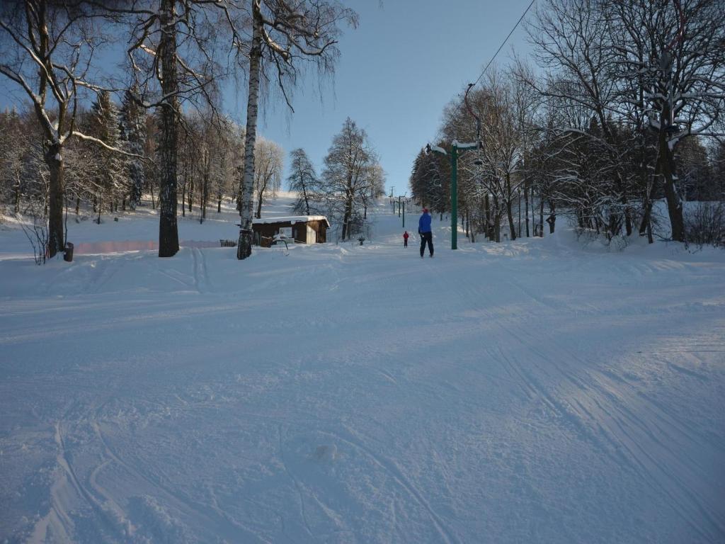 small holiday home at the edge of the forest v zimě