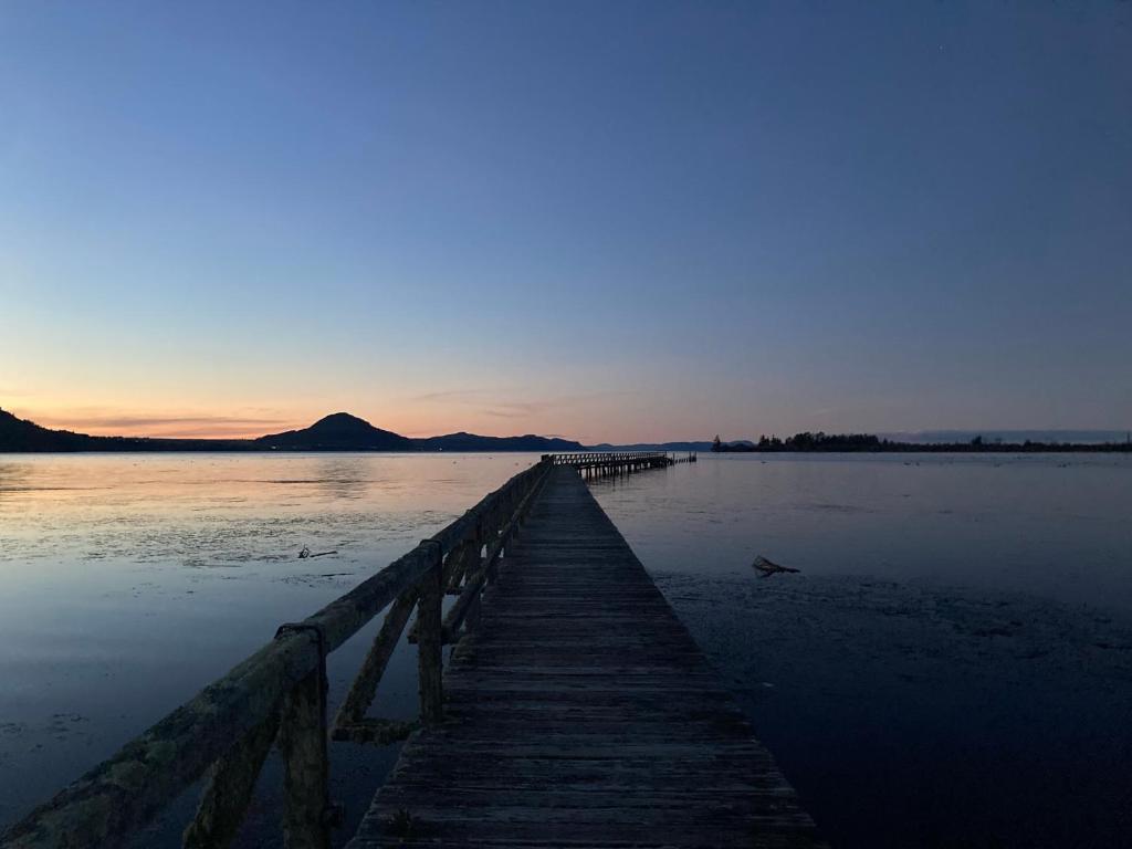 Cottage and geothermal pool by lake Taupo - Resim 11