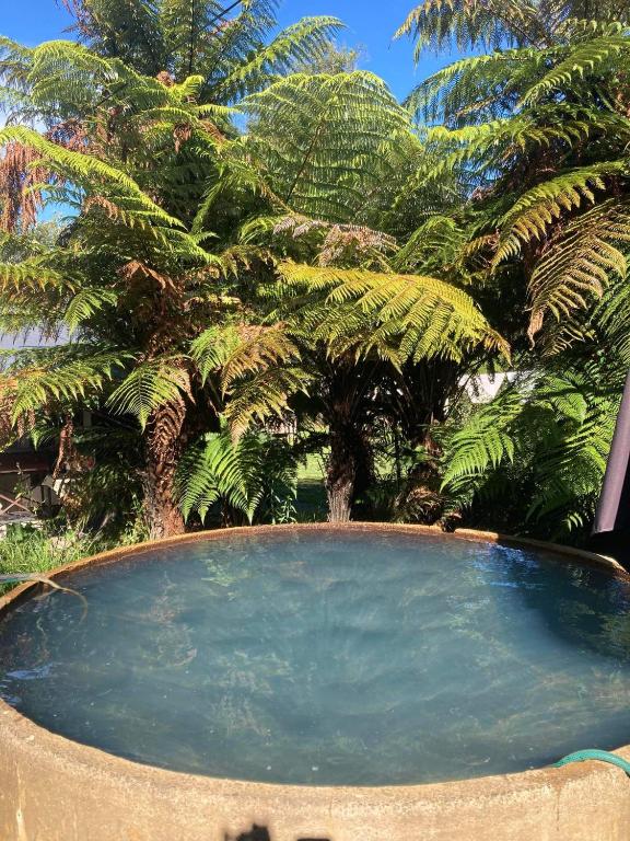 Zahrada ubytování Cottage and geothermal pool by lake Taupo
