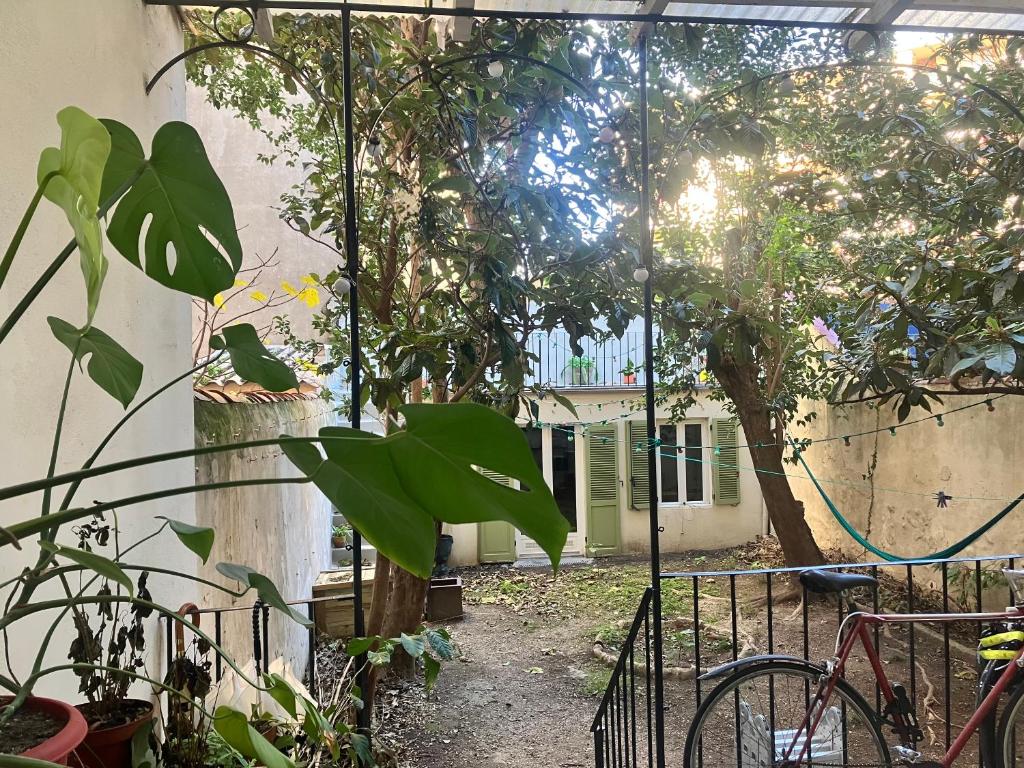 un jardin avec un arbre et une clôture dans l'établissement Jardin à Marseille, à Marseille