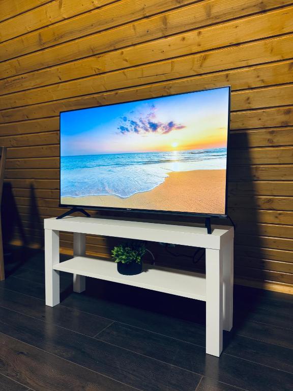 TV a/nebo společenská místnost v ubytování PRIVATE PLACE Avrig adults only