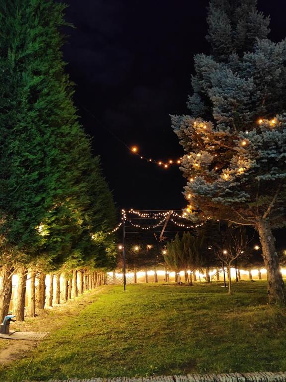 Zahrada ubytování VILLA TOMILLARES