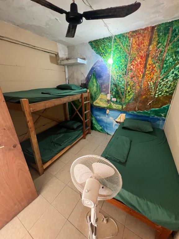Giường trong phòng chung tại Pipeline Hostel