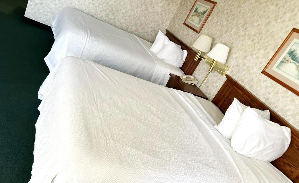 Postel nebo postele na pokoji v ubytování Blue Way Inn & Suites La Crosse