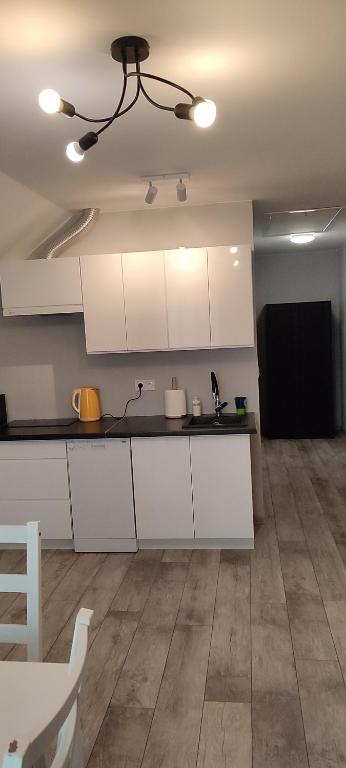 Apartamenty Wilga z całorocznym jacuzzi i letnim basenem - Two-Bedroom Apartment