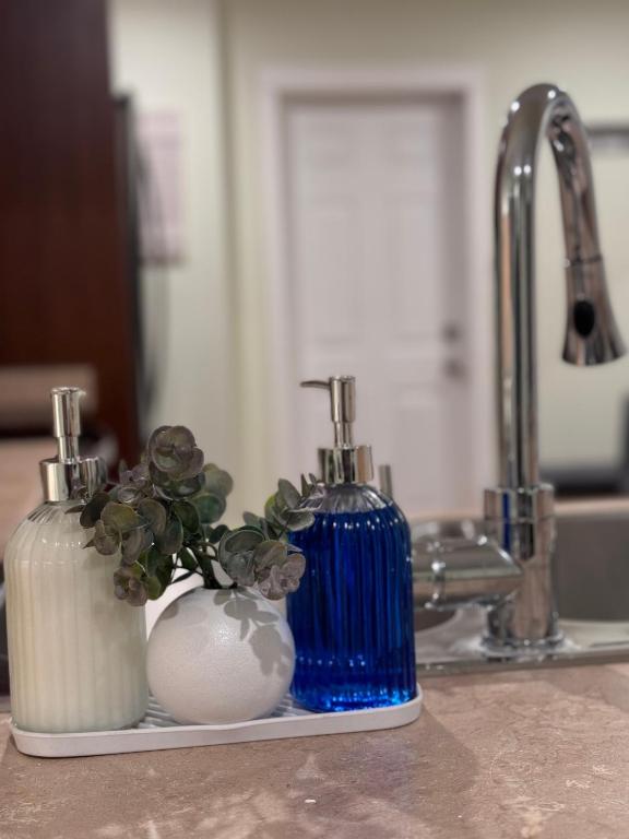 a blue bottle of soap and a vase with a plant at Bella House in Surrey