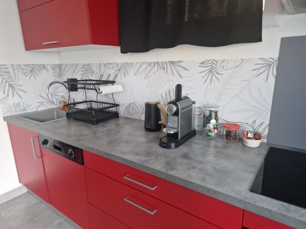 Kuchyň nebo kuchyňský kout v ubytování Joli T2 cosy avec jardin privatif