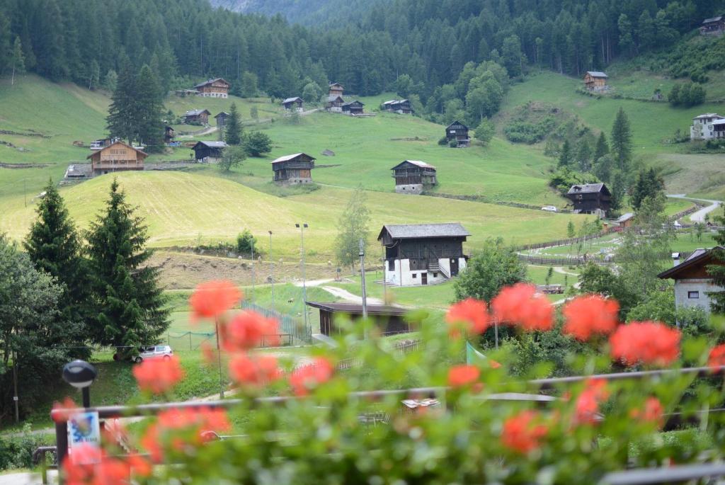 Příroda nedaleko apartmánu