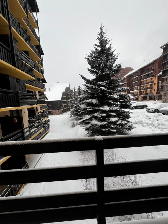 Un arbre de Noël dans la neige dans une ville dans l'établissement Studio au cœur de la station de Risoul 1850, à Risoul