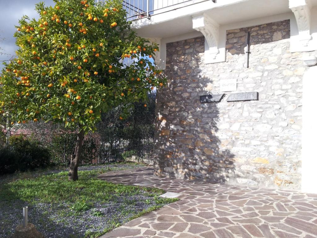 een sinaasappelboom voor een stenen muur bij Alloggio Ulivo in Diano San Pietro