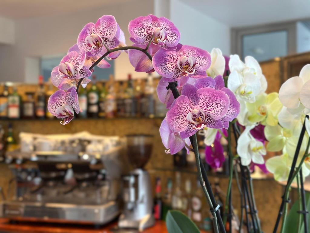 Club House Hotel - Resim 34