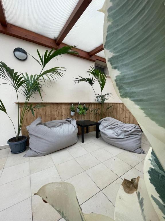 a patio with plants and a table and a cat at Little House Green Relax in Civitavecchia