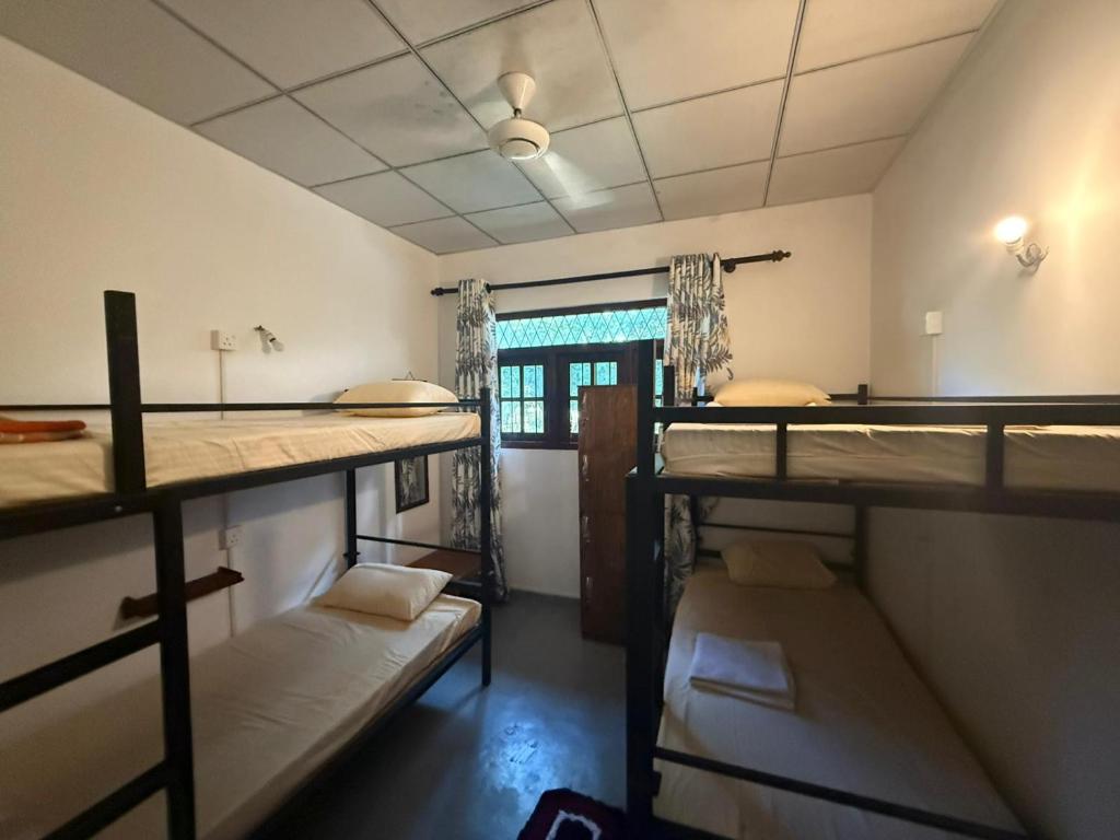 a room with three bunk beds and a window at Dihein surf Hostel in Ahangama