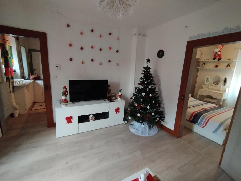 Charmant appartement de 3 pièces, Colmar – photo 8