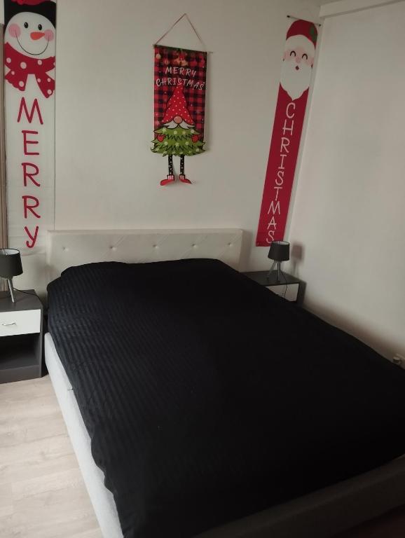 Charmant appartement de 3 pièces, Colmar – photo 12