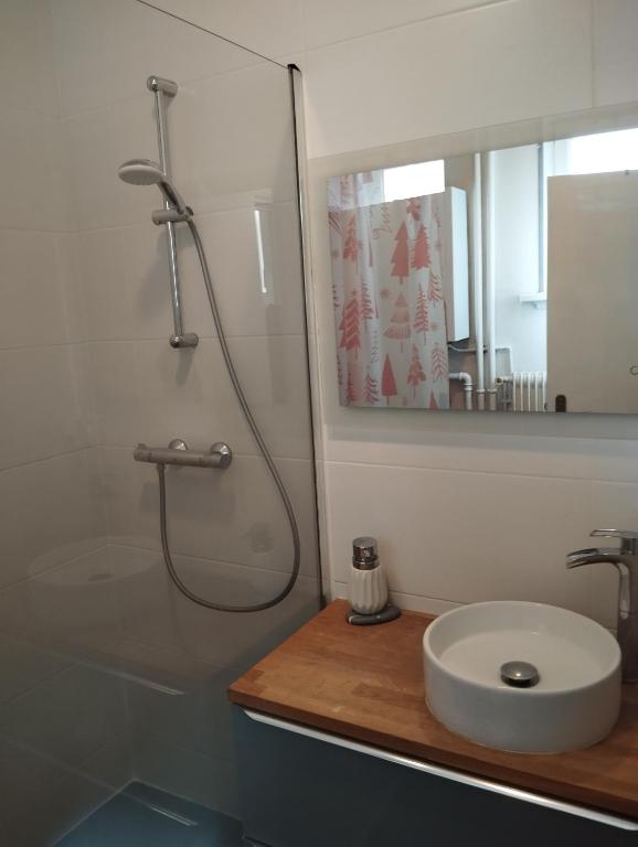 Charmant appartement de 3 pièces, Colmar – photo 7