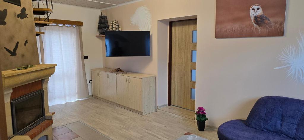 TV a/nebo společenská místnost v ubytování Apartmán v centru Království sov
