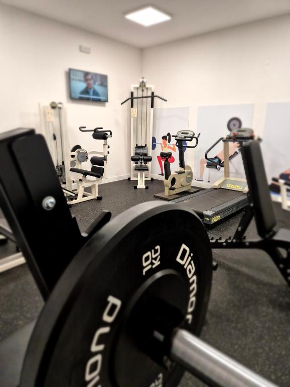 Fitness centrum a/nebo fitness zařízení v ubytování Hotel Sandalia