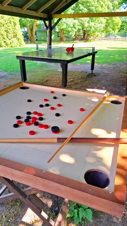 Stolní tenis v ubytování Kardoni Puhkelaager nebo okolí