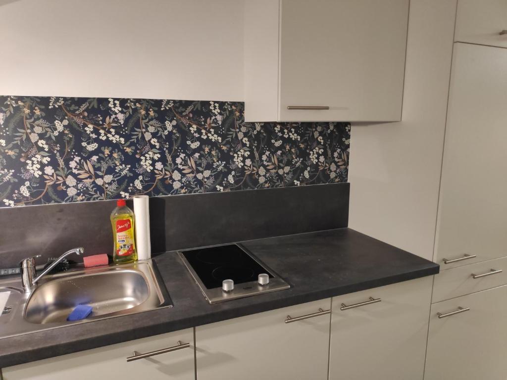 Kuchyň nebo kuchyňský kout v ubytování Aparthotel Horn Bahnstrasse